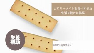 カロリーメイトを食べすぎた生活を続けた結果