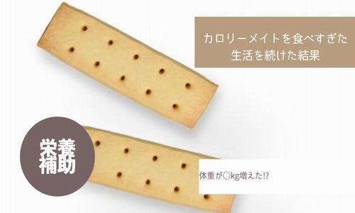 カロリーメイトを食べすぎた生活を続けた結果